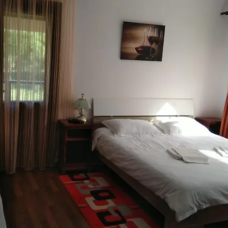 Guest house Turistic Zimbru Lunca (Neamt)