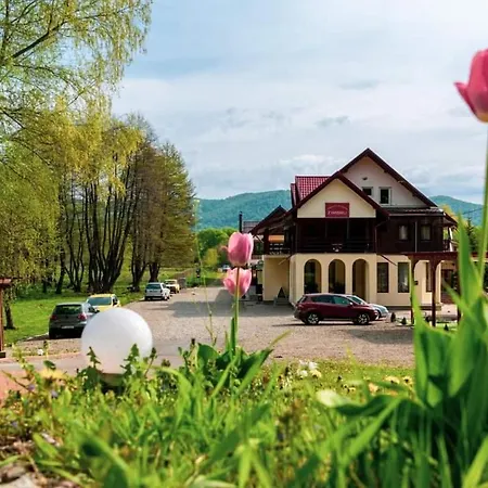 Turistic Zimbru Guest house *