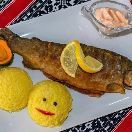 Turistic Zimbru *